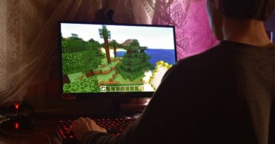 Une personne qui joue sur son PC