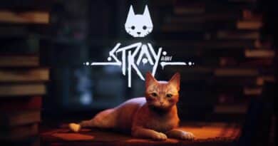 Stray-jeu-chat