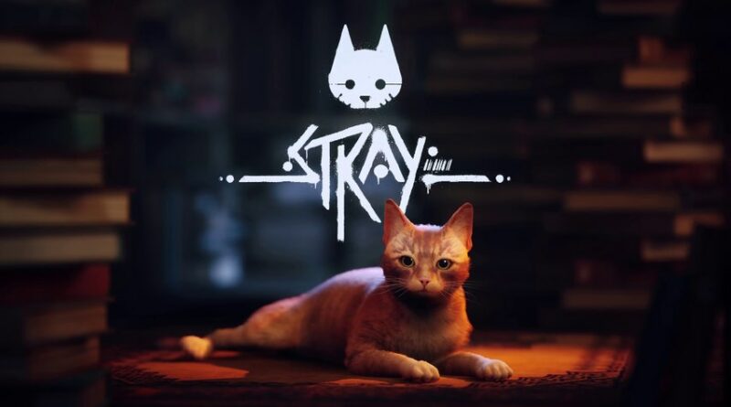 Stray-jeu-chat