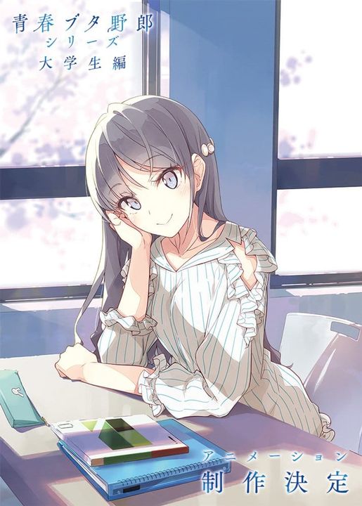 seishun buta yarou daigakusei hen