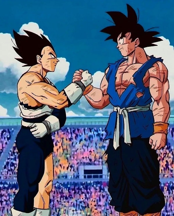 goku et vegeta