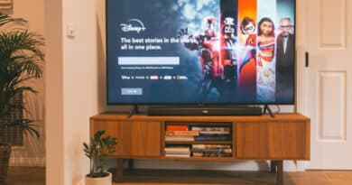 Disney + : ces éléments que vous devriez connaître avant de vous abonner !